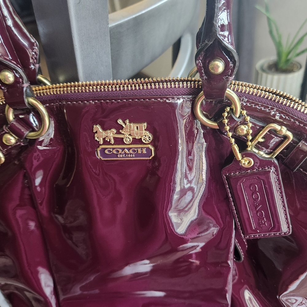 Gorgeous Coach Purse (large)
